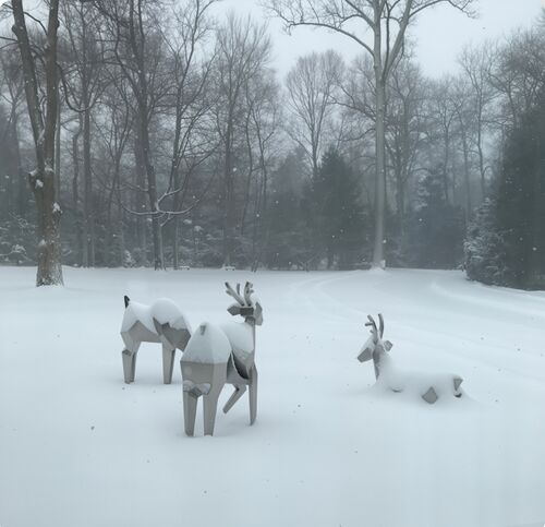 최신 회사 블로그 크리스탈린 양 떼: 자연 이 기하학 을 만나는 곳