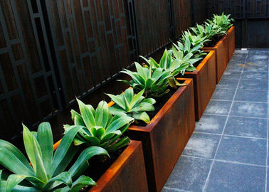 좋은 가격 주문을 받아서 만들어진 정연한 금속 재배자 옥외 Corten 물자 50cm 고도 온라인으로